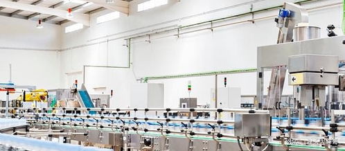 解讀功能性食品代工廠打樣及大貨生產全流程 新品牌方必看攻略